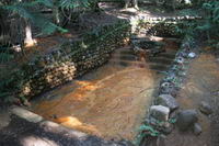Mineral spring well nicknamed Iron Mike